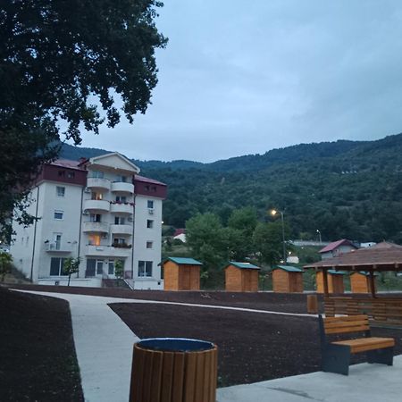 Studio Apartman D&S Pluzine Bagian luar foto