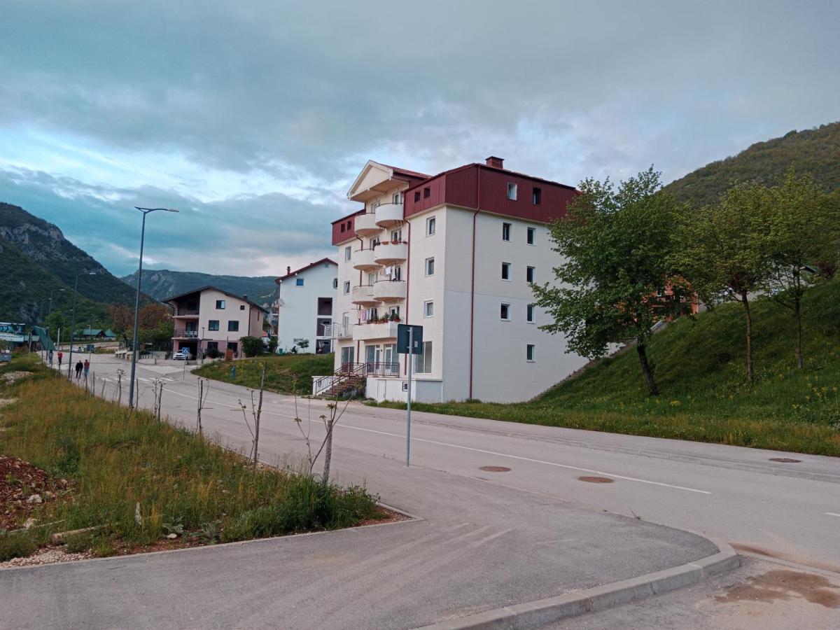 Studio Apartman D&S Pluzine Bagian luar foto