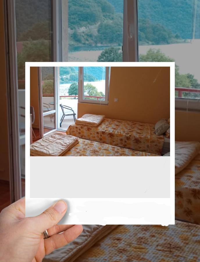 Studio Apartman D&S Pluzine Bagian luar foto