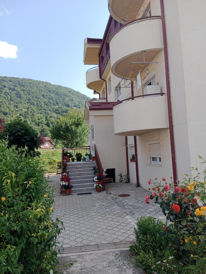 Studio Apartman D&S Pluzine Bagian luar foto