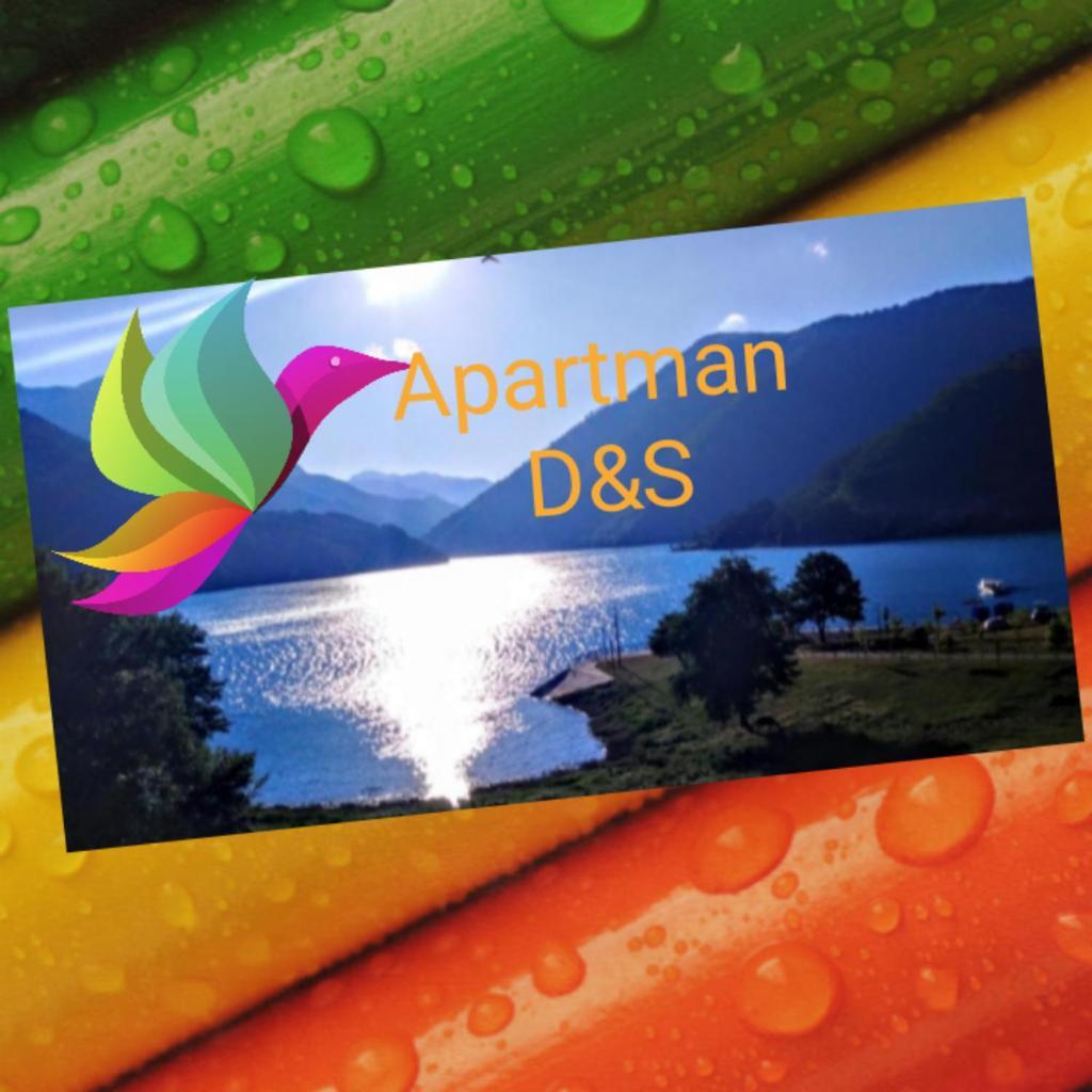 Studio Apartman D&S Pluzine Bagian luar foto