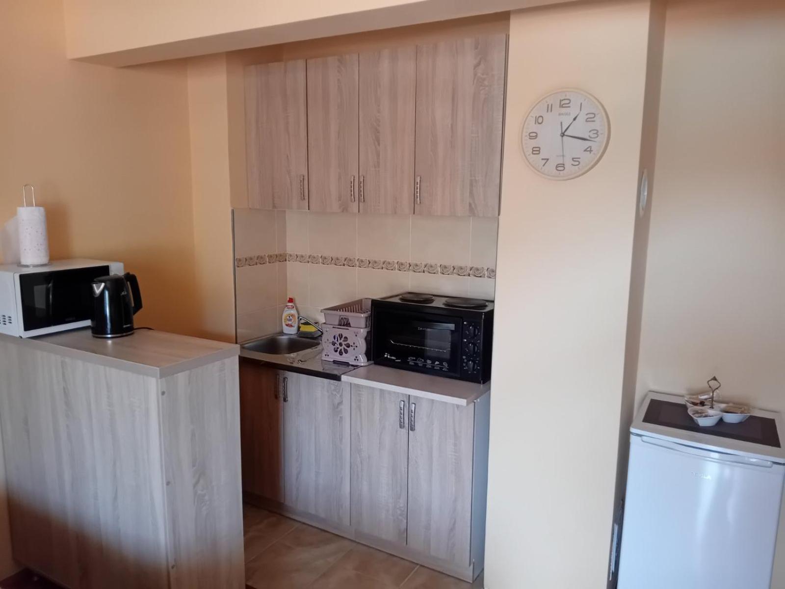 Studio Apartman D&S Pluzine Bagian luar foto