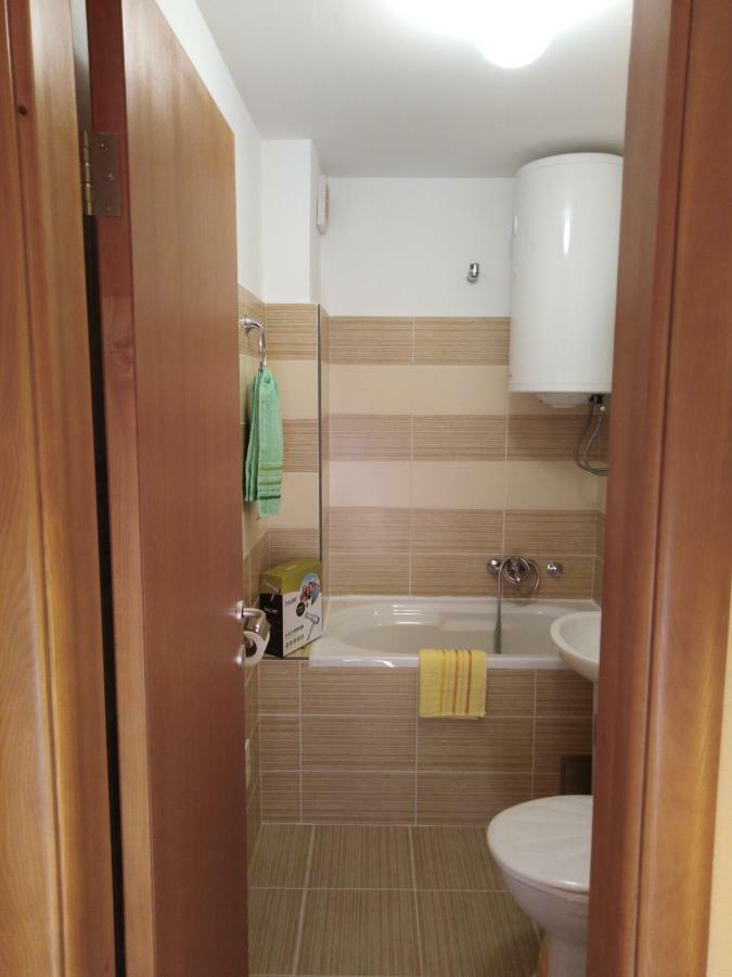 Studio Apartman D&S Pluzine Bagian luar foto